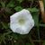 Lori Goodsel's profile image