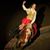 Noble Horse Theatre's profile image