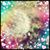 Xochilt Rivera's profile image