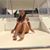 Karina Maldonado's profile image