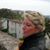 Antonella Dalla Pozza's profile image