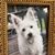 Deb Kirby's profile image