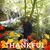 Angela Sanders-Creamer's profile image