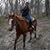 Tracey Bickett Franklin's profile image