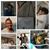 Shannon Hickman-Howard's profile image