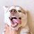 Oath-Chaivichit Somboon's profile image