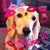Shawn Ashley's profile image