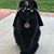 Larry Davis's profile image