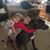 Joyce Mattison's profile image