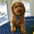 Martha Bamfield's profile image
