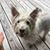 Christina Espy Mitchelson's profile image
