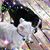 Marilyn Smith Richerson's profile image