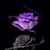 Kim Malone's profile image