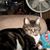 Penny Ames's profile image