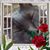 Patricia Trader's profile image