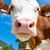JoAnn Wilson's profile image