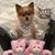 Latonya Nicholas's profile image