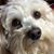 Sandy Gonder Townsend's profile image