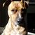 Nancy Martin's profile image