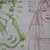 Rhonda J. Steiner-Powell's profile image