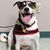 Elizabeth Severson's profile image