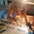 Laura B Chancey's profile image