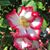 Lorraine Kolenski's profile image