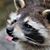 Paul Goodwin's profile image