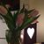 Linda Rich Hutchison's profile image