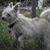 Stephany Lee Kress's profile image