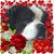 Sherri Wells-VanVossen's profile image