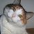 Tenna Ruch's profile image