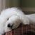 Marcia Martinetti's profile image