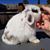 Sue Furtaw's profile image
