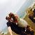 Morgan Roberts Christy's profile image