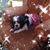 Samantha Leighton Moise's profile image