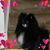 Douglas Noss's profile image