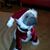 Randy Robertson's profile image