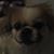 Barb Kehl-Morgan's profile image