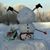 Marjorie Panorelli Miranda's profile image