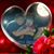 Katina Abell's profile image