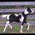 Robin Waddell's profile image
