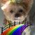 Lisa Harper Delahoussaye's profile image