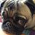 Cindy Hill Durrance's profile image