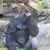 Hugh Yang's profile image