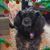 Patsy Biddy Waitman's profile image