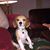Paulla Helms's profile image