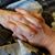 Connie Kerper Horton's profile image