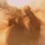 Macavei Marius's profile image