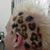 Kevin Besnyi's profile image